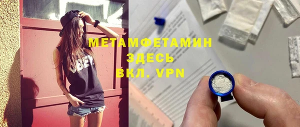 шишки Бородино