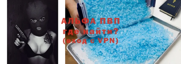 шишки Бородино
