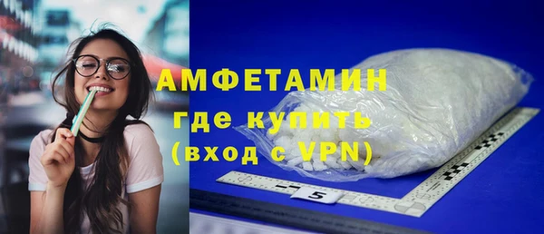 шишки Бородино