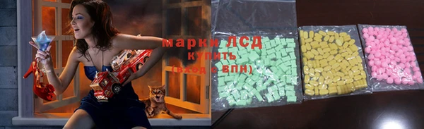 шишки Бородино