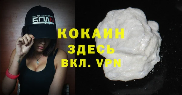 шишки Бородино