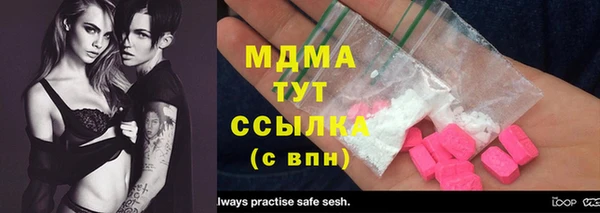 шишки Бородино