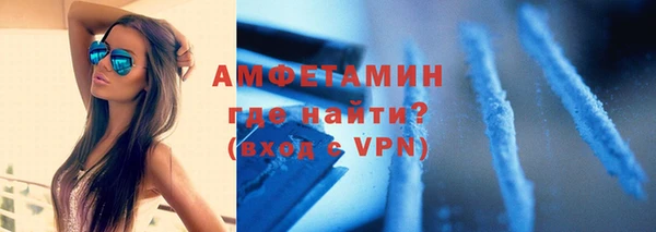 шишки Бородино