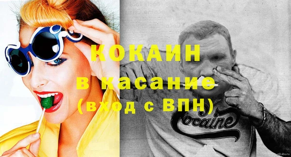 шишки Бородино