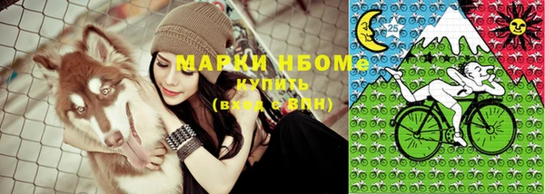 шишки Бородино