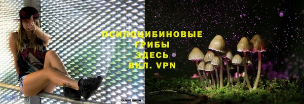 шишки Бородино