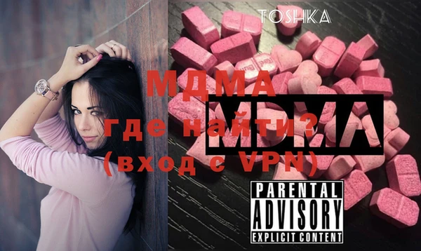 шишки Бородино