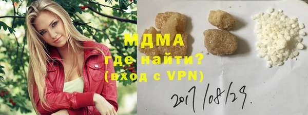 шишки Бородино